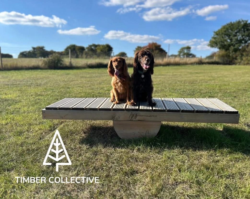 Timber Collective